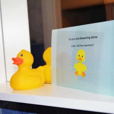 Zvekir - Old Town アパート